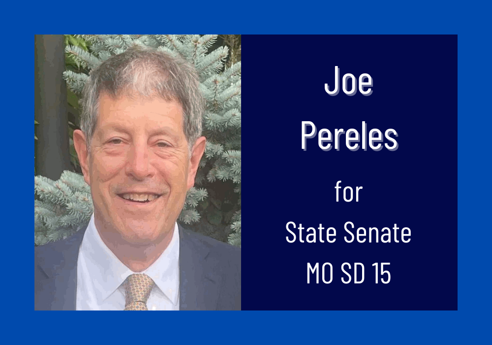 Joe Pereles, candidate for State Senator